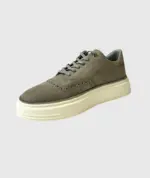 JR 22316 Siva - Image 2