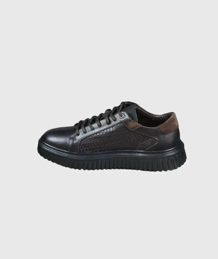 JR 23279 Braon - Image 2